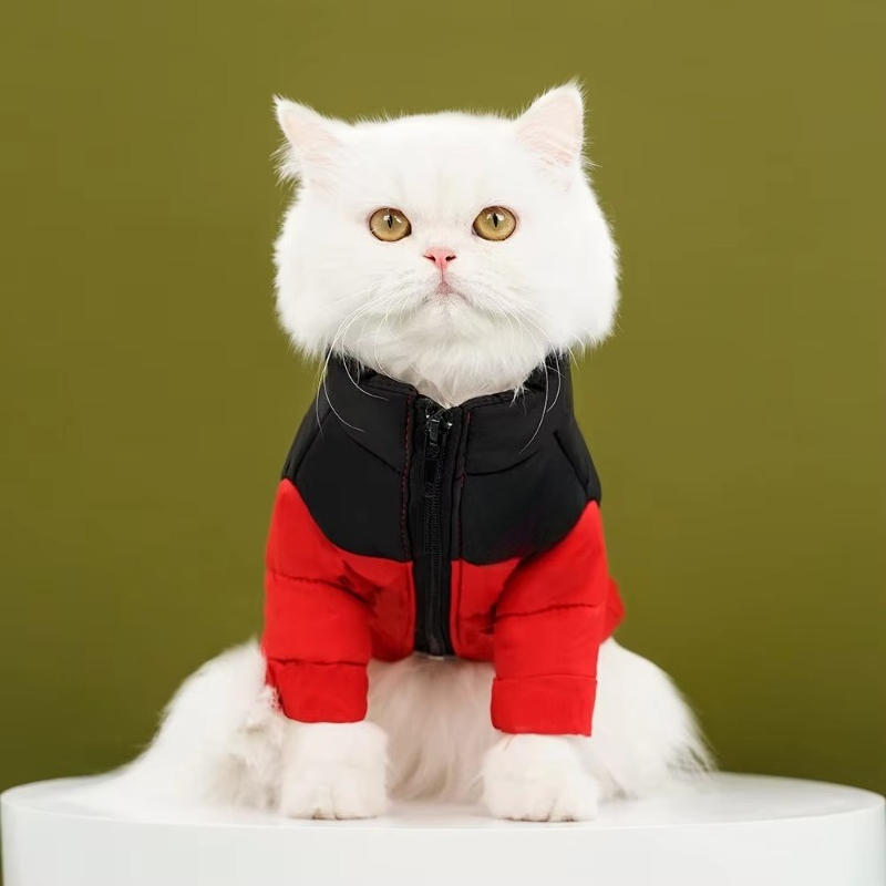 Giacca Imbottita in Cotone per - Winter Clothing Manufacturers recensione e prezzo
