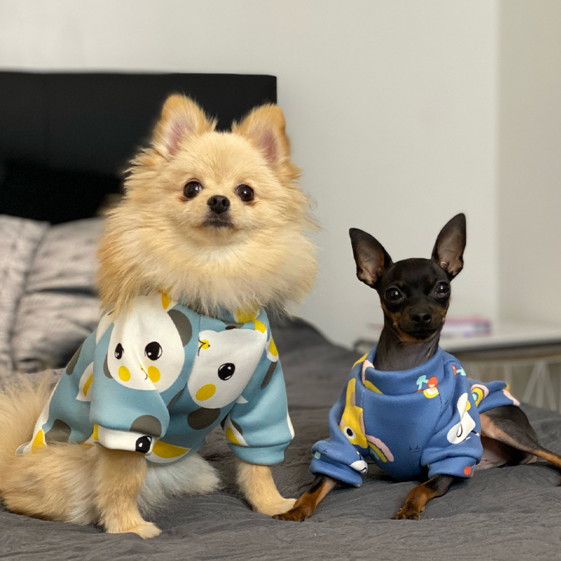 Xs Vestiti per cani per cani d - Winter Clothing For Kids recensione e prezzo
