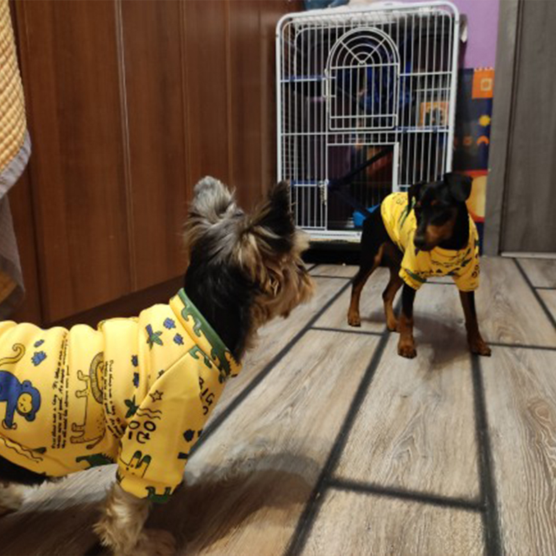 Xs Vestiti per cani per cani d - Winter Clothing For Kids recensione e prezzo