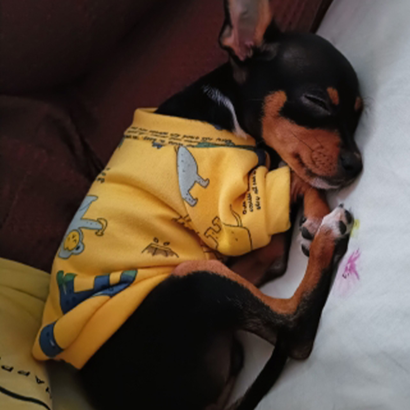 Xs Vestiti per cani per cani d - Winter Clothing For Kids recensione e prezzo