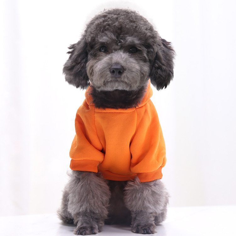 Maglione Invernale per Animali - Winter Clothing Manufacturers recensione e prezzo